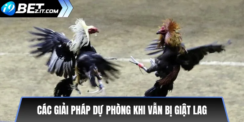 Cách Xem Trực Tiếp Đá Gà i9bet Không Giật Lag Mới Nhất 3 Các Giải Pháp Dự Phòng Khi Vẫn Bị Giật Lag