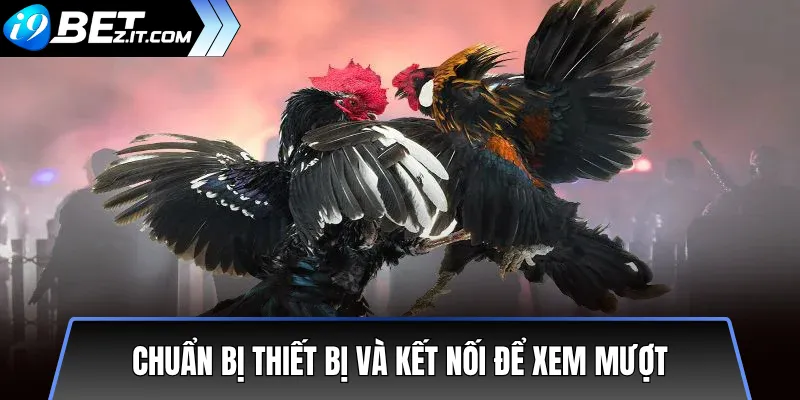 Cách Xem Trực Tiếp Đá Gà i9bet Không Giật Lag Mới Nhất 2 Chuẩn Bị Thiết Bị và Kết Nối Để Xem Mượt