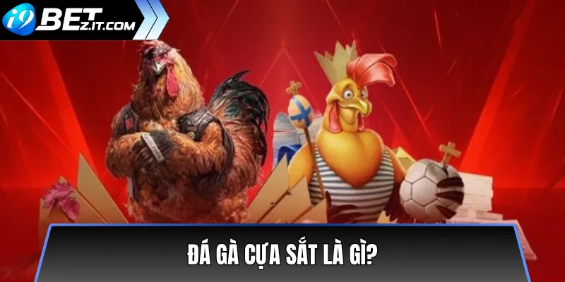 Phân Biệt Đá Gà Cựa Sắt Và Đá Gà Thomo Trên i9bet 2 Đá Gà Cựa Sắt Là Gì?