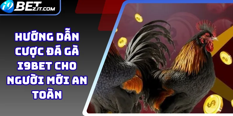 Hướng Dẫn Cược Đá Gà i9bet Cho Người Mới An Toàn 1 Hướng Dẫn Cược Đá Gà i9bet