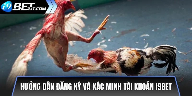 Hướng Dẫn Cược Đá Gà i9bet Cho Người Mới An Toàn 2 Hướng dẫn đăng ký và xác minh tài khoản i9bet