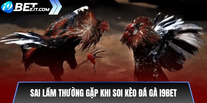 Bí quyết soi kèo đá gà i9bet chuẩn xác từ cao thủ 3 Sai lầm thường gặp khi soi kèo đá gà i9bet