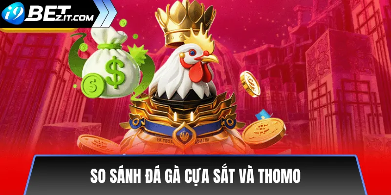 Phân Biệt Đá Gà Cựa Sắt Và Đá Gà Thomo Trên i9bet 3 So Sánh Đá Gà Cựa Sắt Và Thomo